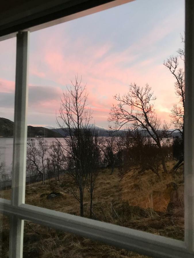Kvaloya Lodge Futrikelv Buitenkant foto